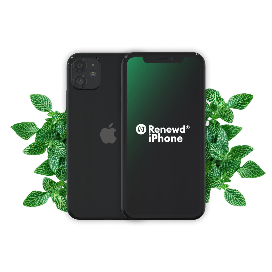 Renewd iPhone 11 Black 256GB