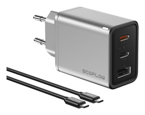 EcoFlow RAPID 65 W Universal Silver AC Fast charging Indoor