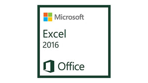 Microsoft Excel 2016, 1u Spreadsheet Government (GOV) 1 license(s)