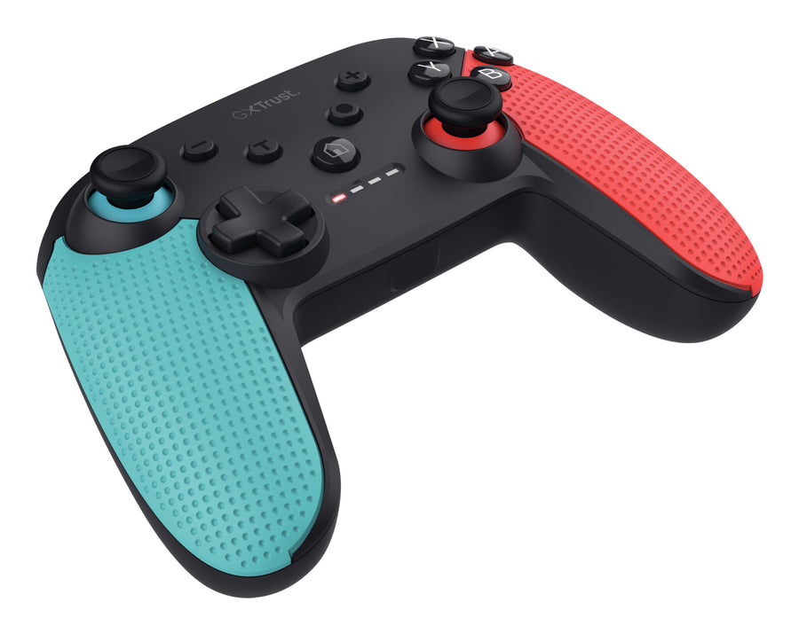 Nintendo Switch Controllers