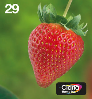 Epson Strawberry Multipack 4-colours 29 EasyMail