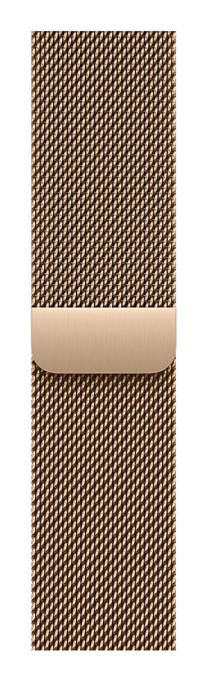 Apple MGJ04ZM/A smart wearable accessory Band Gold Stainless steel