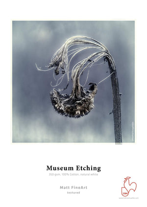 Hahnemühle Museum Etching Art paper 25 sheets
