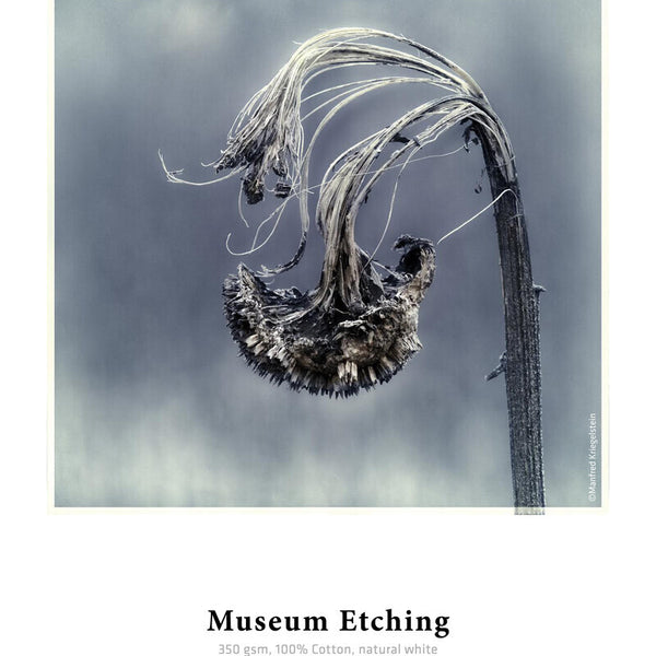Hahnemühle Museum Etching Natural, White Matt