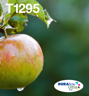 Epson Apple T129 DURABrite Ultra Multipack 4-colours EasyMail Ink