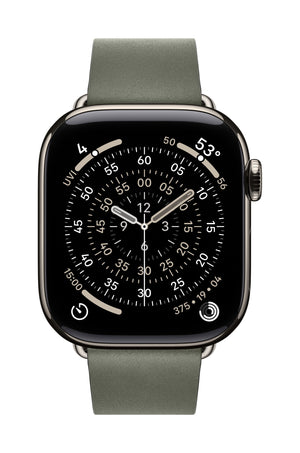 Apple 42mm Sage Grey Modern Buckle - Large