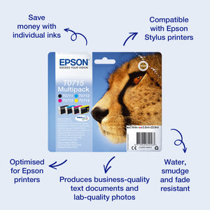 Epson Cheetah Singlepack Black T0711 DURABrite Ultra Ink