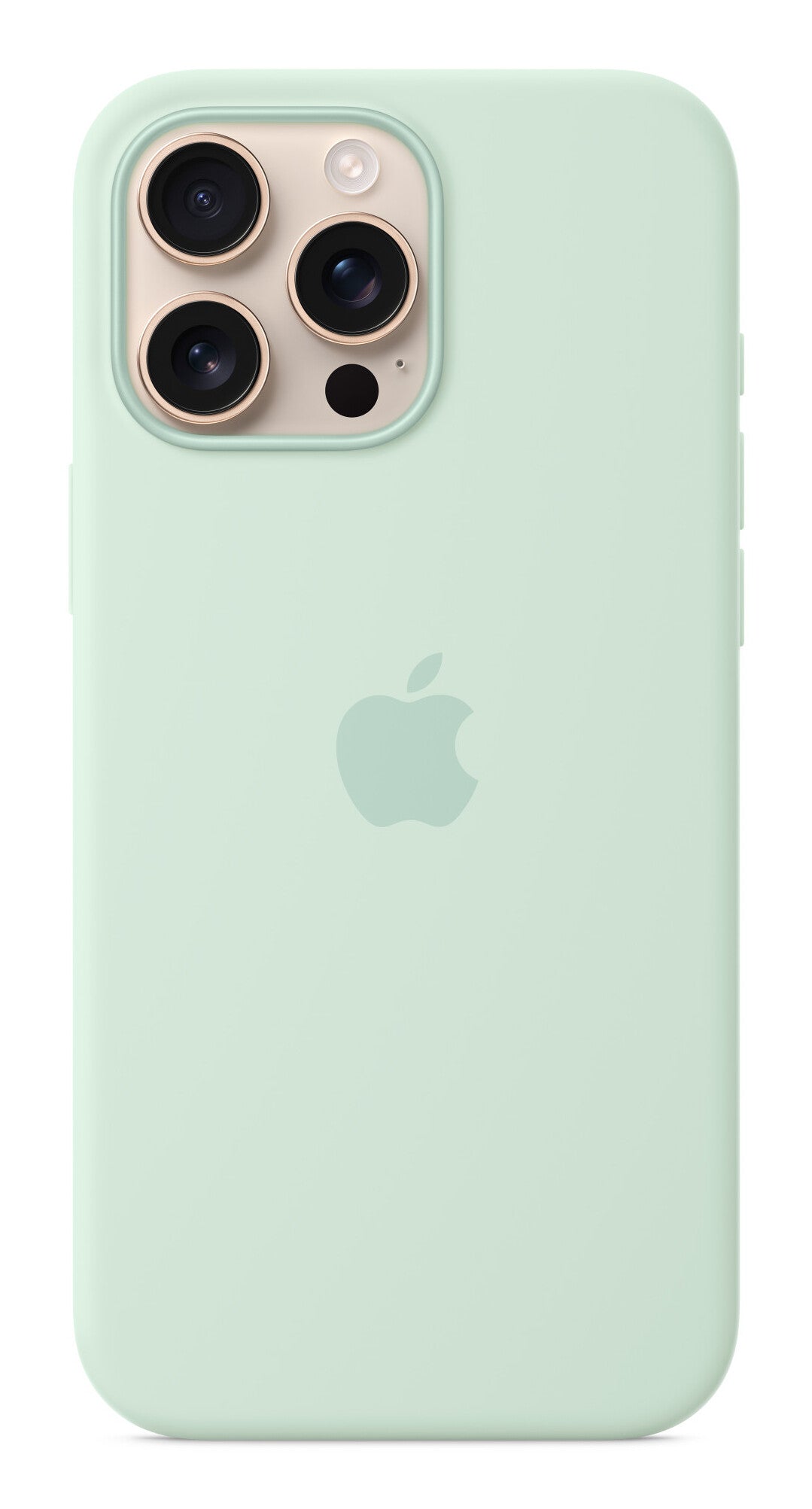 Apple MDGY4ZM/A mobile phone case 17.5 cm (6.9") Cover Aquamarine