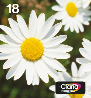Epson Daisy 18 Claria Home Multipack 4-colours EasyMail Ink