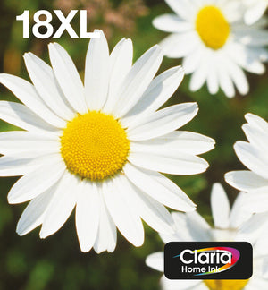 Epson Daisy 18XL Claria Home Multipack 4-colours EasyMail Ink