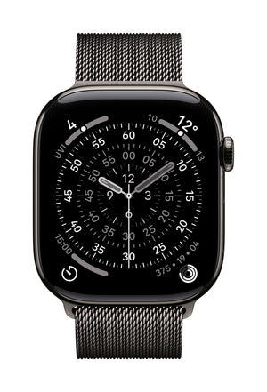 Apple MGJ74ZM/A smart wearable accessory Band Slate colour Stainless steel