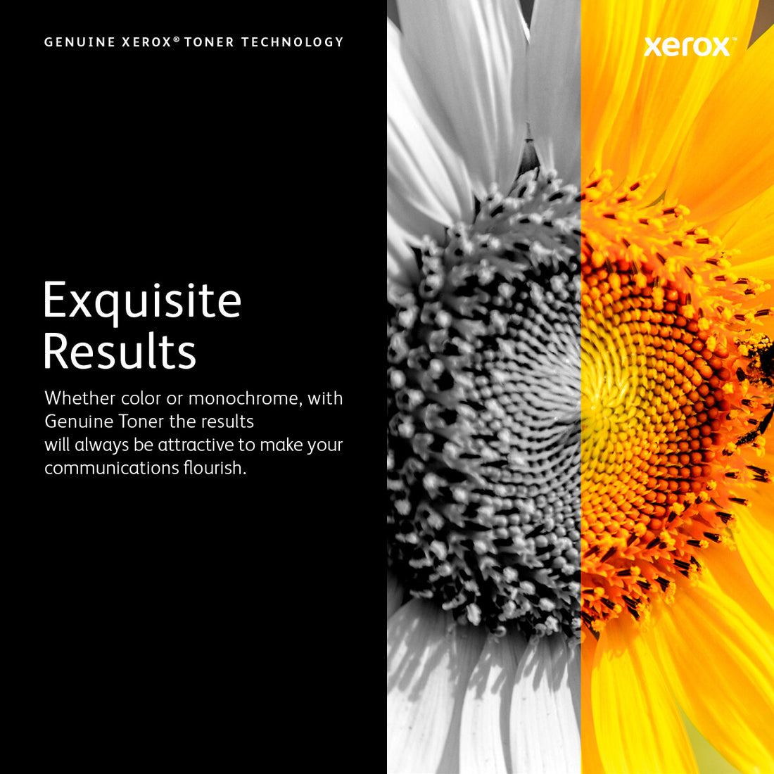 Xerox VersaLink C50X Yellow Drum Cartridge (40,000 pages)